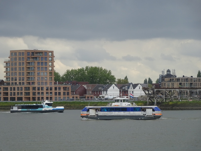 Foto van QBZ Waterbus 6709 Veerpont door_gemaakt Rotterdamseovspotter