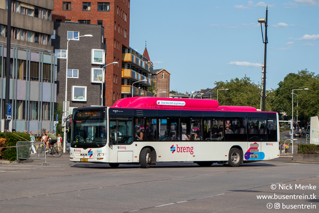Foto van HER MAN Lion's City CNG 5401 Standaardbus door_gemaakt Busentrein
