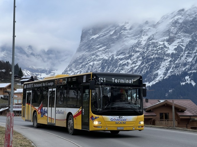 Foto van Grindelwald MAN Lion's City 12 Standaardbus door Stadsbus