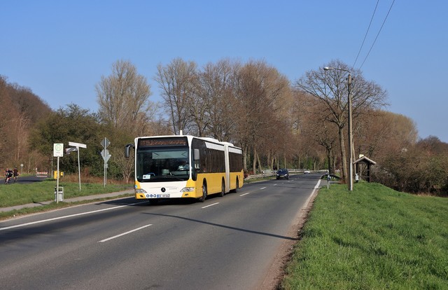 Foto van Hennecke Mercedes-Benz Citaro G 542 Gelede bus door_gemaakt mauricehooikammer