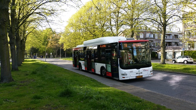 Foto van HTM MAN Lion's City CNG 1081 Standaardbus door_gemaakt Baschauffeur