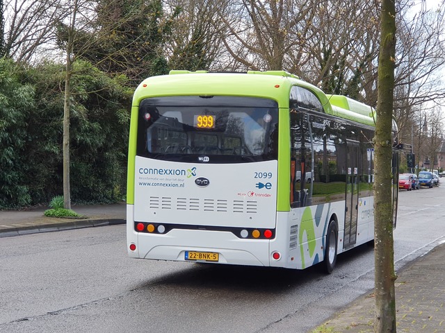 Foto van CXX BYD K9UB 2099 Standaardbus door wyke2207