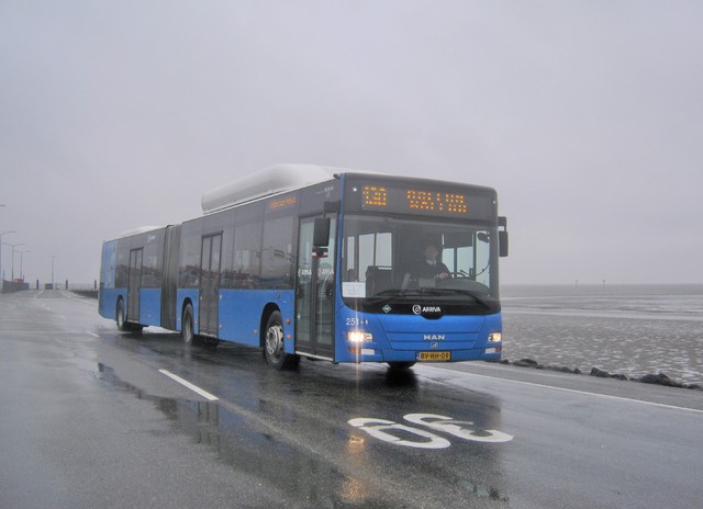 Foto van ARR MAN Lion's City G CNG 251 Gelede bus door_gemaakt mauricehooikammer