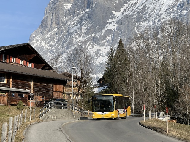 Foto van Grindelwald MAN Lion's City M 14 Midibus door_gemaakt Stadsbus