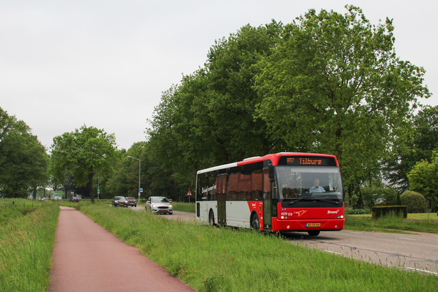 Foto van ARR VDL Ambassador ALE-120 119 Standaardbus door_gemaakt busspotteramf