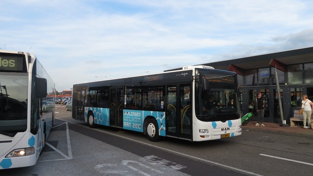 Foto van TH MAN Lion's City 55 Standaardbus door TreinspotterUtrecht