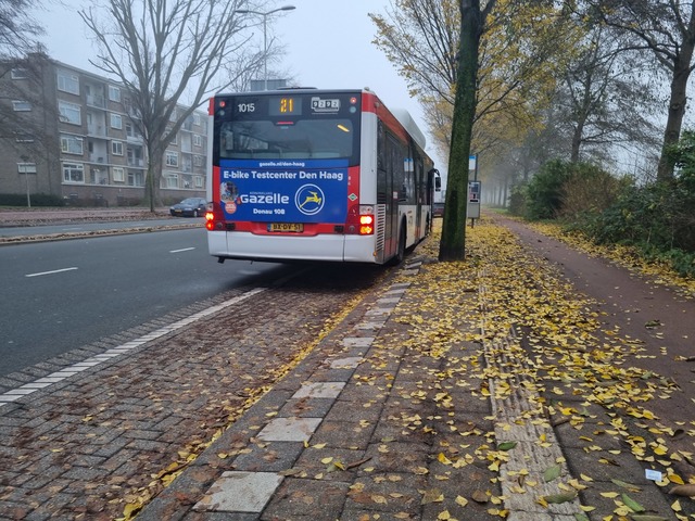 Foto van HTM MAN Lion's City CNG 1015 Standaardbus door Tramspoor