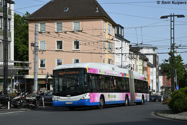Foto van SWS Hess Swisstrolley 955 Gelede bus door_gemaakt RW2014