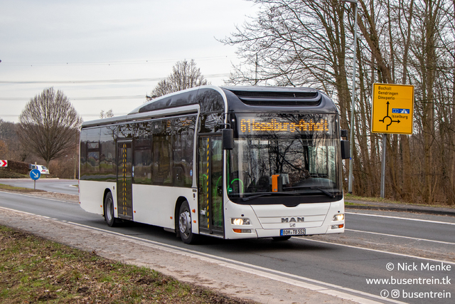 Foto van LTBbus MAN Lion's City Hybrid 552 Standaardbus door_gemaakt Busentrein