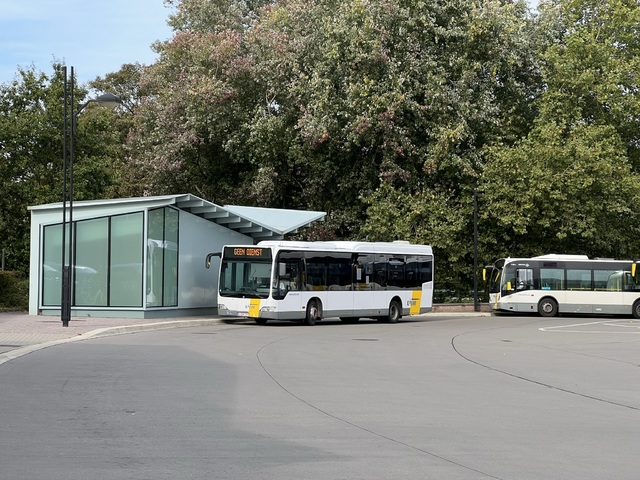 Foto van DeLijn Mercedes-Benz Citaro LE 551090 Standaardbus door Stadsbus