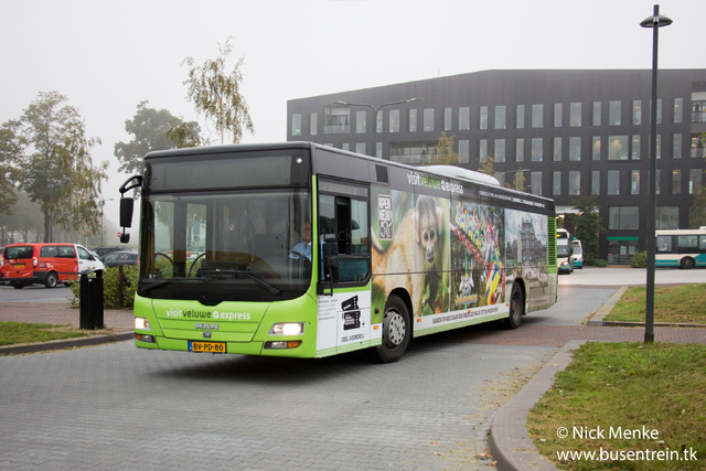 Foto van HAVI MAN Lion's City 890 Standaardbus door Busentrein