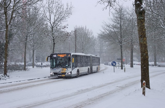 Foto van DeLijn MAN Lion's City 18H 616038 Gelede bus door mauricehooikammer
