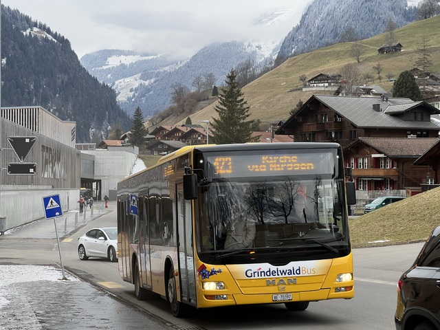 Foto van Grindelwald MAN Lion's City M 23 Midibus door_gemaakt Stadsbus