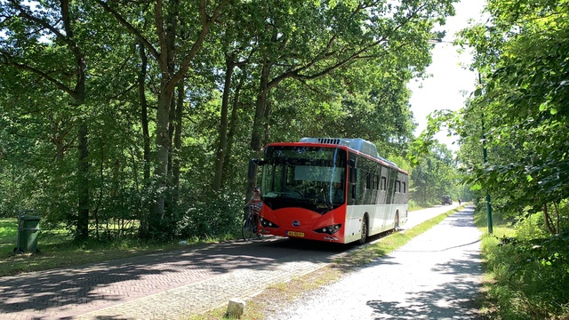 Foto van TCR BYD K9C 451 Standaardbus door Stadsbus