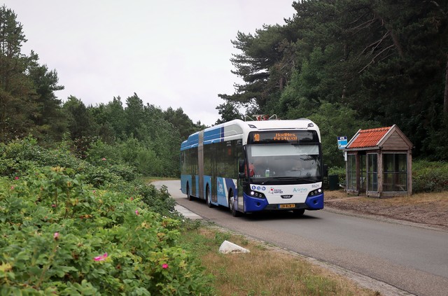 Foto van ARR VDL Citea SLFA-180 Electric 8621 Gelede bus door mauricehooikammer