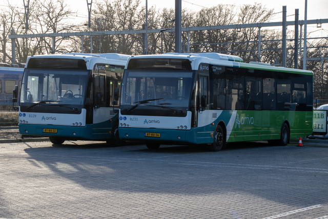 Foto van ARR VDL Ambassador ALE-120 8229 Standaardbus door Treinen-inTwente