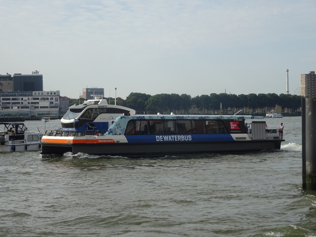 Foto van QBZ Waterbus 6705 Veerpont door_gemaakt Rotterdamseovspotter