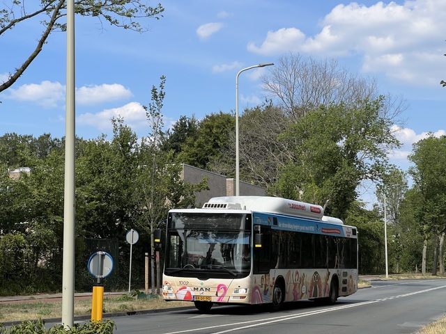 Foto van HTM MAN Lion's City CNG 1002 Standaardbus door Stadsbus