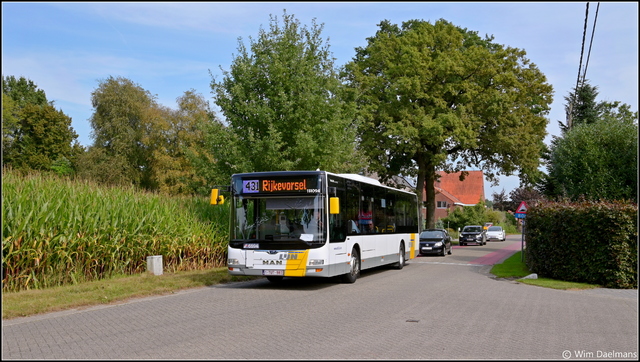 Foto van DeLijn MAN Lion's City 111094 Standaardbus door_gemaakt WDaelmans