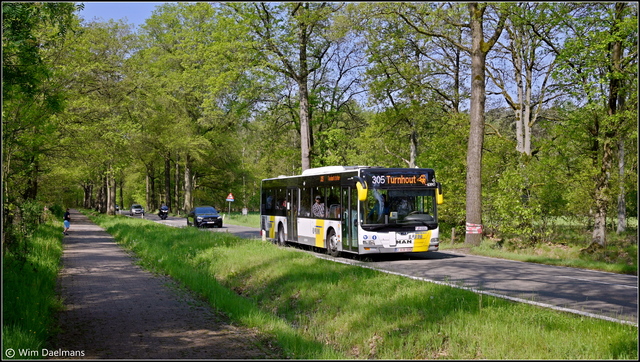 Foto van DeLijn MAN Lion's City 639039 Standaardbus door_gemaakt WDaelmans