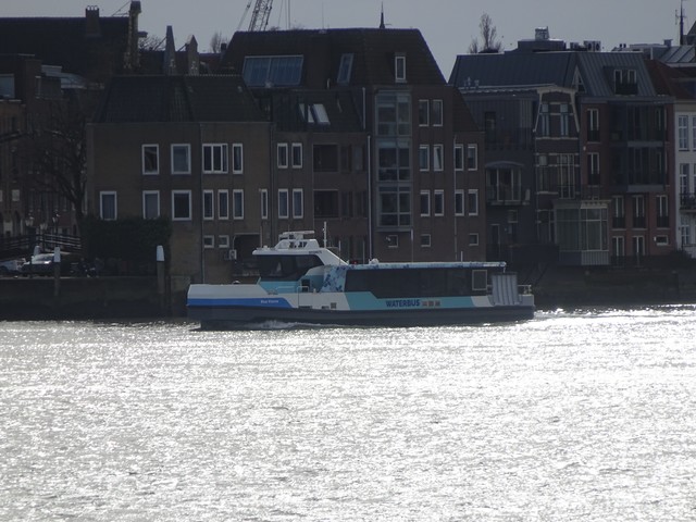 Foto van QBZ Waterbus (elektrisch) 6705 Veerpont door_gemaakt Rotterdamseovspotter