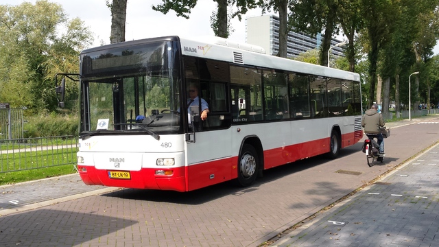 Foto van  MAN Lion's City CNG  Standaardbus door Jelmer