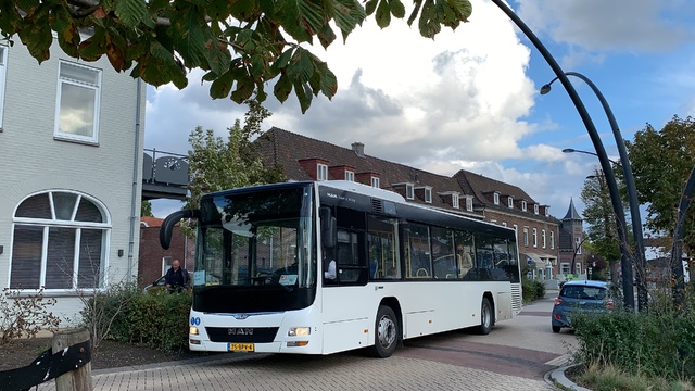 Foto van DRI MAN Lion's City LE 317 Standaardbus door Stadsbus