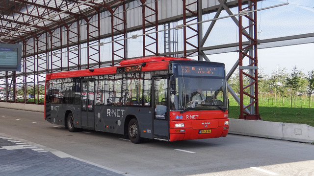 Foto van CXX MAN Lion's City T 3853 Standaardbus door_gemaakt OVdoorNederland