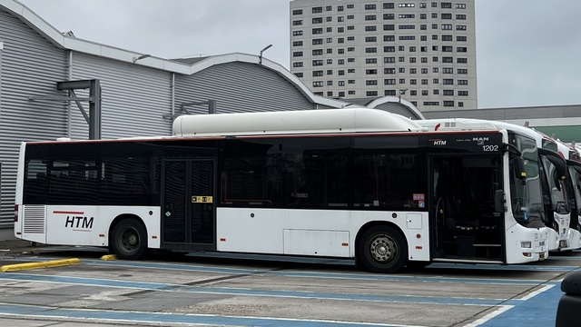 Foto van HTM MAN Lion's City CNG 1202 Standaardbus door_gemaakt Stadsbus