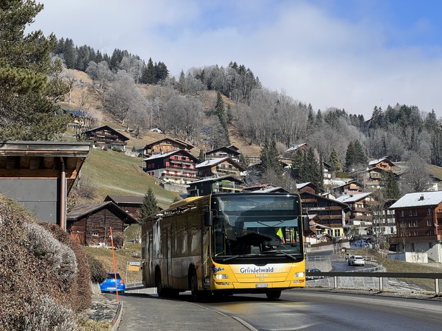 Foto van Grindelwald MAN Lion's City M 11 Midibus door_gemaakt Stadsbus