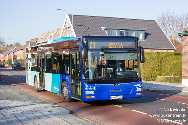 Foto van DBWestf MAN Lion's City 583 Standaardbus door_gemaakt Busentrein