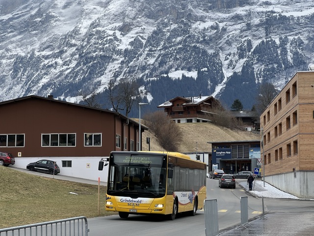 Foto van Grindelwald MAN Lion's City M 18 Midibus door_gemaakt Stadsbus