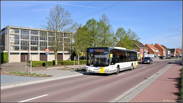 Foto van DeLijn MAN Lion's City 41052 Standaardbus door_gemaakt WDaelmans