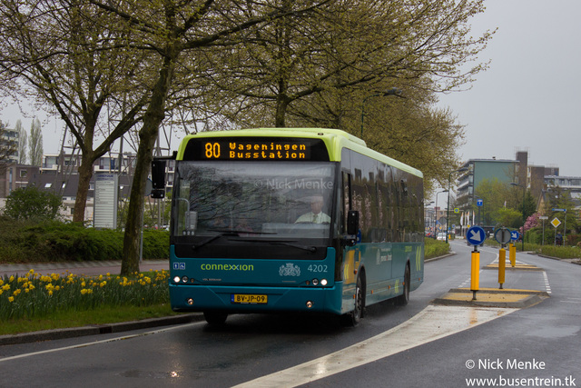 Foto van CXX VDL Ambassador ALE-120 4202 Standaardbus door Busentrein