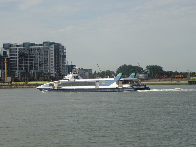 Foto van QBZ Waterbus 6713 Veerpont door_gemaakt Rotterdamseovspotter
