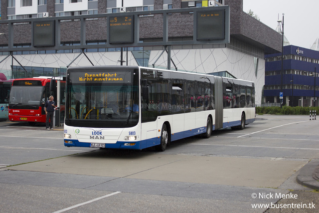 Foto van NIAG MAN Lion's City GL 5803 Gelede bus door_gemaakt Busentrein