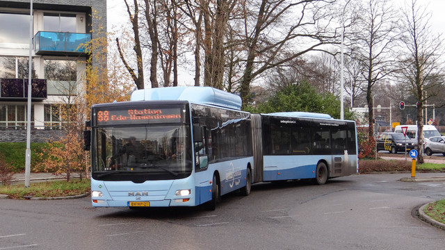 Foto van KEO MAN Lion's City G CNG 5298 Gelede bus door_gemaakt OVdoorNederland