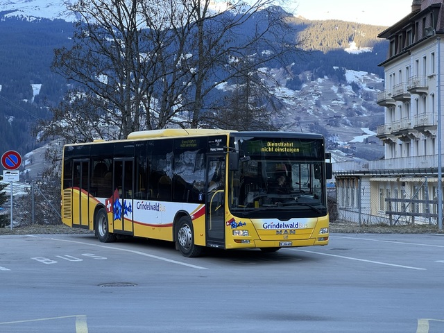 Foto van Grindelwald MAN Lion's City M 24 Midibus door_gemaakt Stadsbus