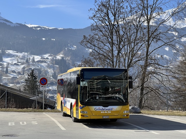 Foto van Grindelwald MAN Lion's City M 20 Midibus door_gemaakt Stadsbus