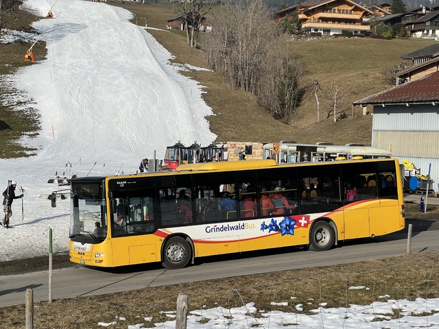 Foto van Grindelwald MAN Lion's City M 24 Midibus door_gemaakt Stadsbus