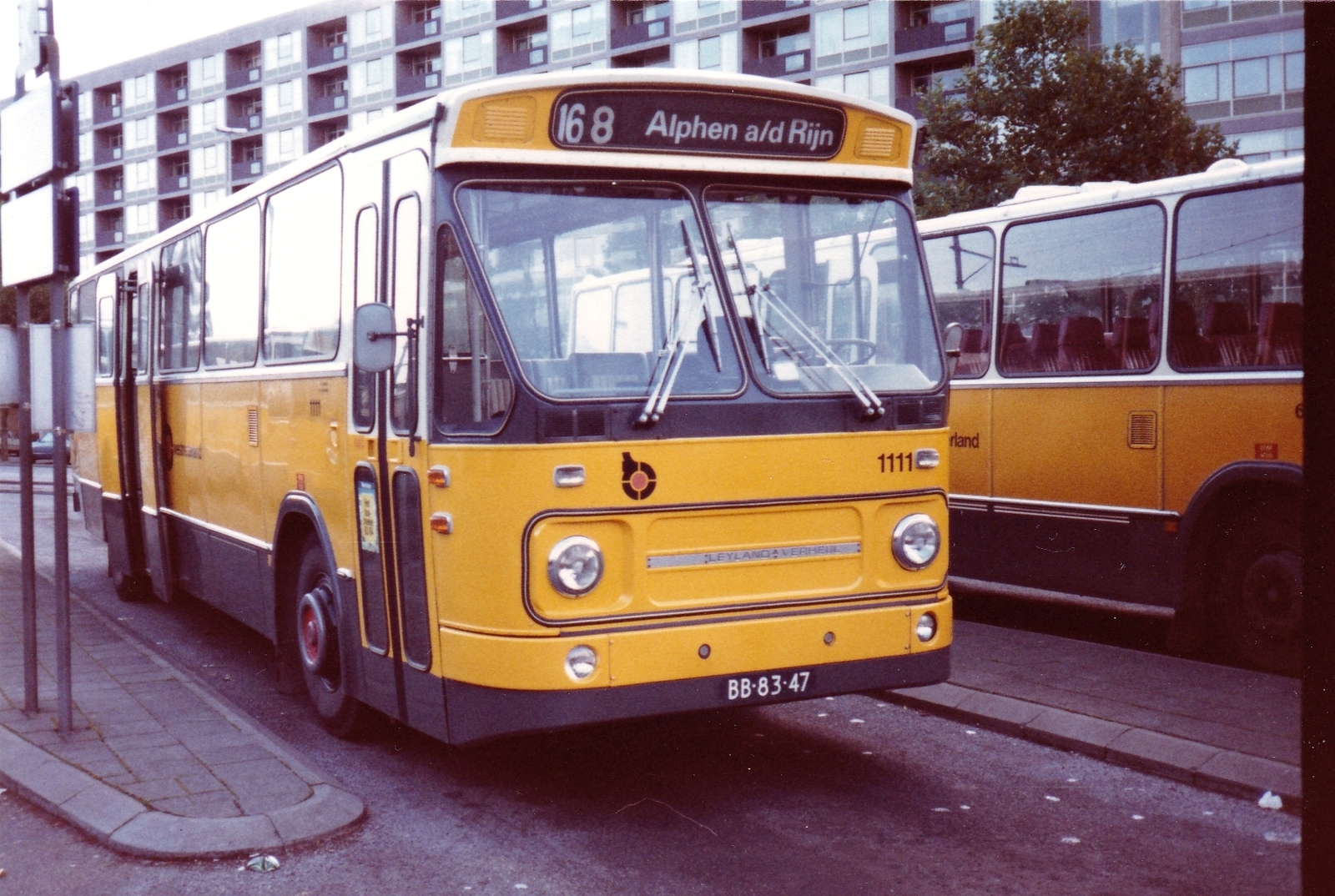 Foto van WN Leyland-Verheul Standaardstreekbus 1111